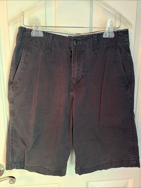 American Eagle Outfitters Men's Navy Wash Flat-Front Shorts